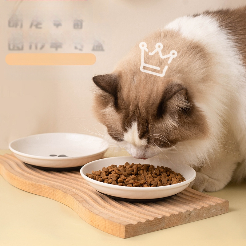 Katės maitinimo indas, rankinis maitinimas, naminių gyvūnėlių reikmenys