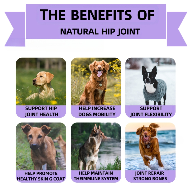 Таблетки за стави и тазобедрени кучета за дъвчене – Angel Paws, 50 таблетки в кутия, 300 g, FDA COA GMP ISO9001 HACCP