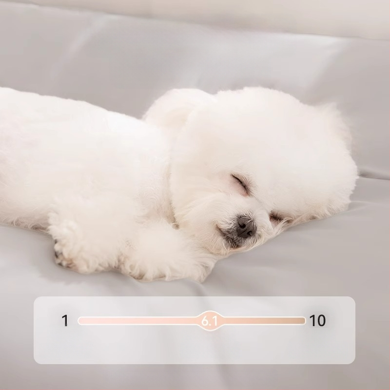 Šunų guolys - visiems sezonams, atsparus vandeniui, nuimamas ir skalbiamas, nešvarumams atsparus