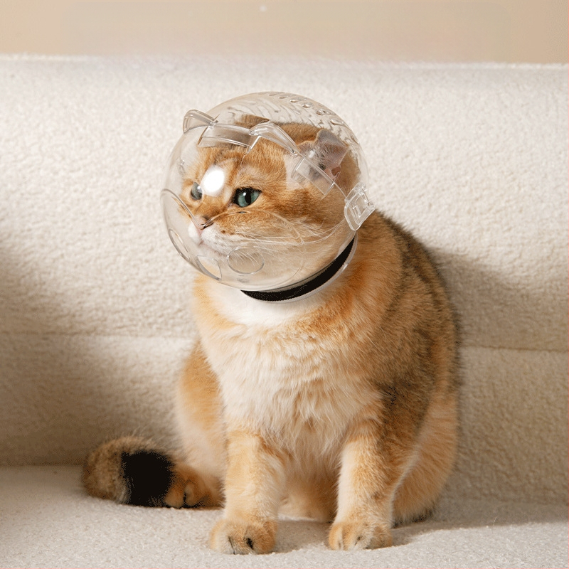 Katės galvos apsauga su Elisabetos apykakle – modelis 69850, Medžiaga: šilko gėlė, Skirta katėms