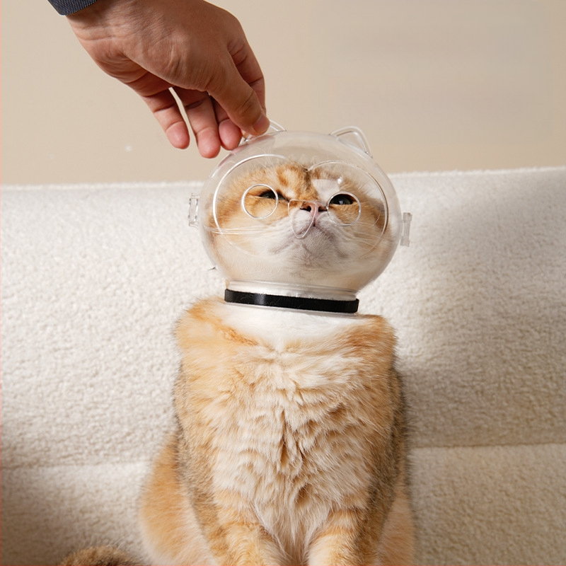 Katės galvos apsauga su Elisabetos apykakle – modelis 69850, Medžiaga: šilko gėlė, Skirta katėms