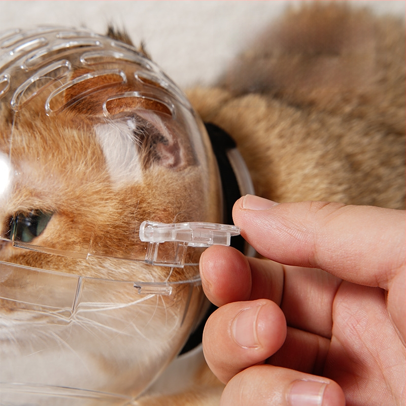 Katės galvos apsauga su Elisabetos apykakle – modelis 69850, Medžiaga: šilko gėlė, Skirta katėms