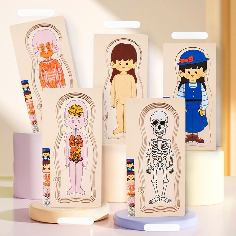 Medinė plokščia dėlionė žmogaus kūno struktūrai su sluoksniuojamais organais ir kaulais; medžiaga: mediena; kategorija: plokščias dėlionė; tinkama vaikams 4–6 metų; DIY galimybė; pritaikymas pagal brėžinį