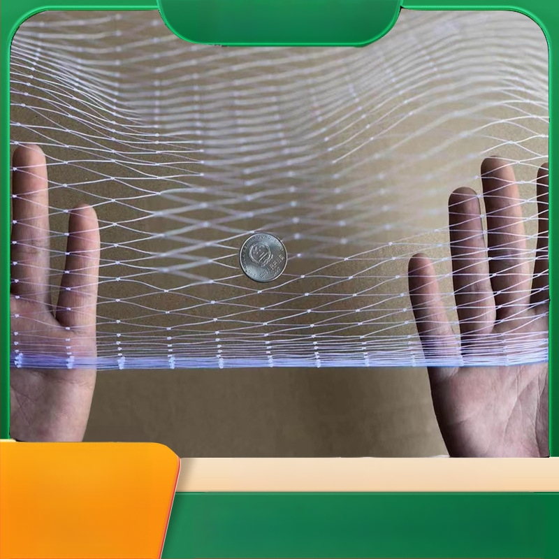 Paukščių apsaugos tinklas vaisių sodui, skaidrus polietilenas tinklas, plotis 1/3/5/10/20/30