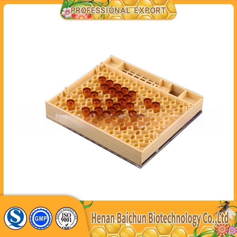 Kit european pentru creșterea reginei cu unelte de apicultură, cutie de creștere a albinelor, retur în 7 zile