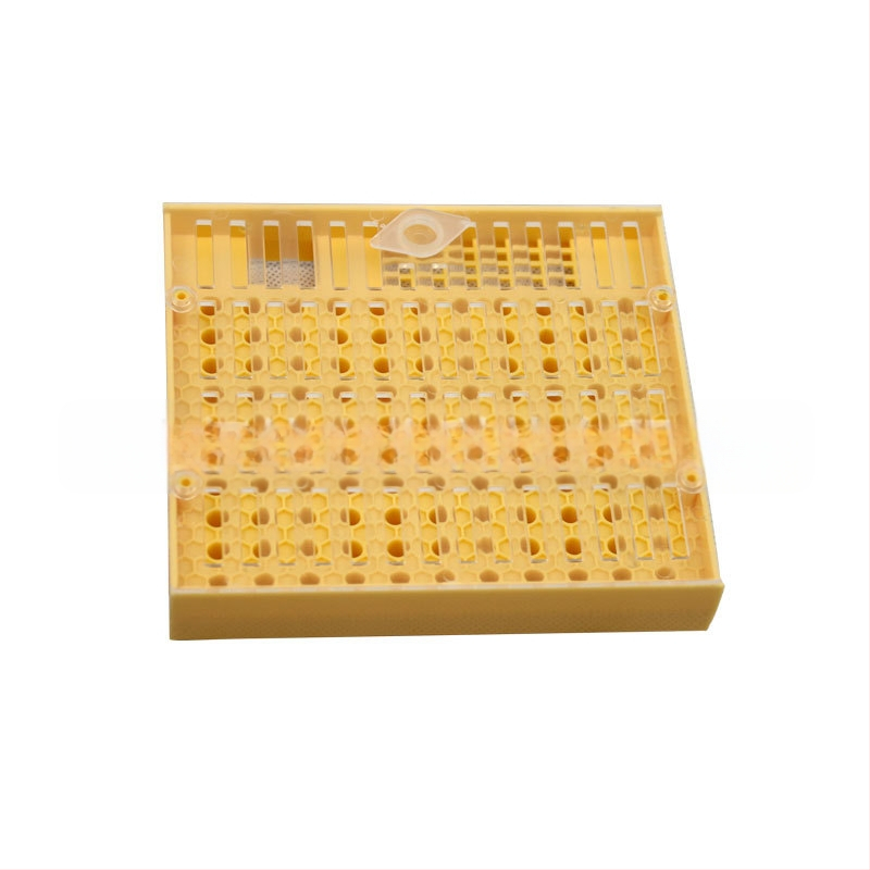 Kit european pentru creșterea reginei cu unelte de apicultură, cutie de creștere a albinelor, retur în 7 zile