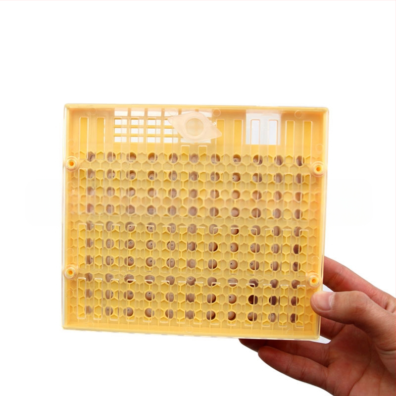 Kit european pentru creșterea reginei cu unelte de apicultură, cutie de creștere a albinelor, retur în 7 zile