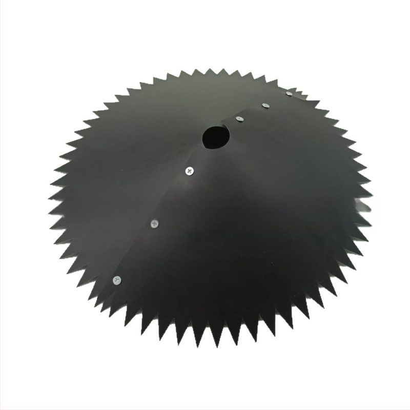 Ornito lesyklėlė su rat shield ir squirrel baffle, PVC medžiaga, lauko kabinamas ant stulpo.