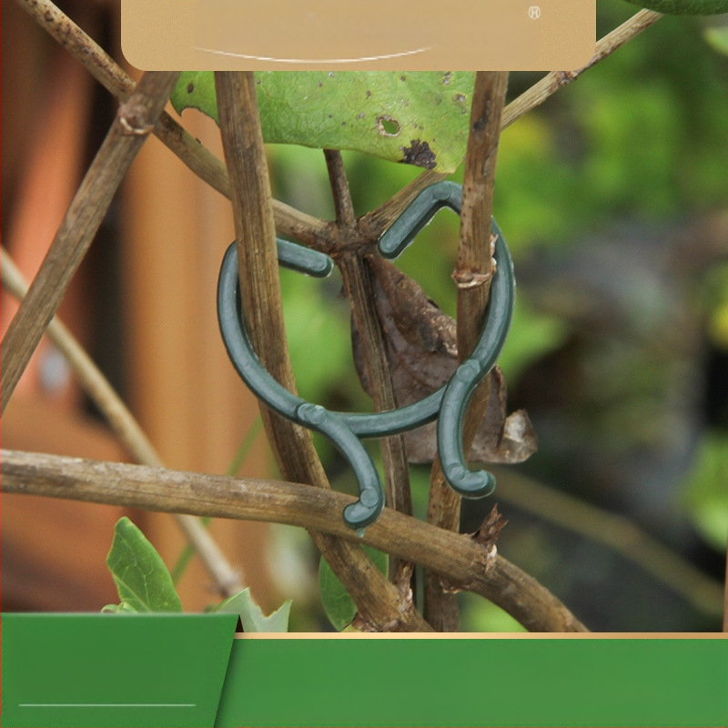 Zhixiao Комплект за градина – крепеж за закрепване на растения и цветя, галванизиран метал с пластично покритие, лента за подвързване, за фиксиране