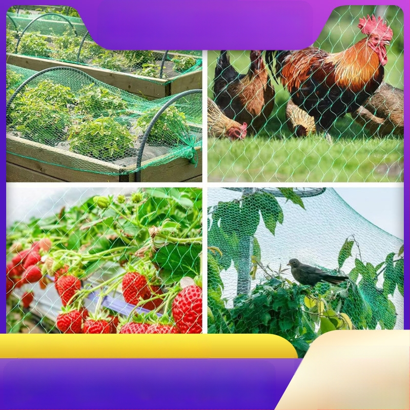 Linnuvõrk aia ja viljapuude kaitseks; PE uus materjal; kaubamärk Run up the circle