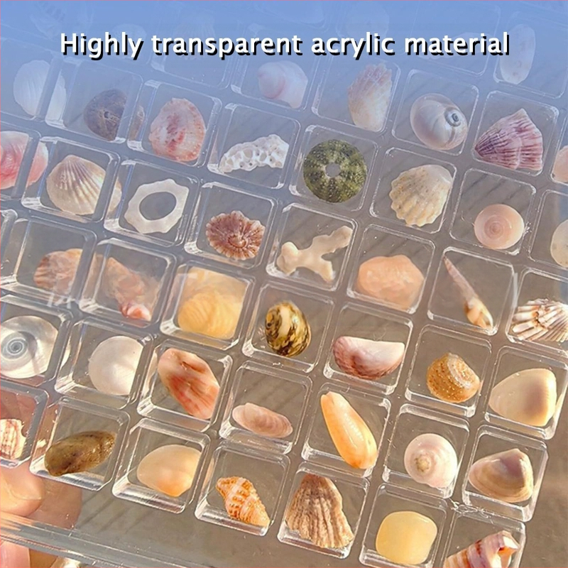 Melting technology akrilo magnetinė demonstracinė dėžutė jūros kriauklėms