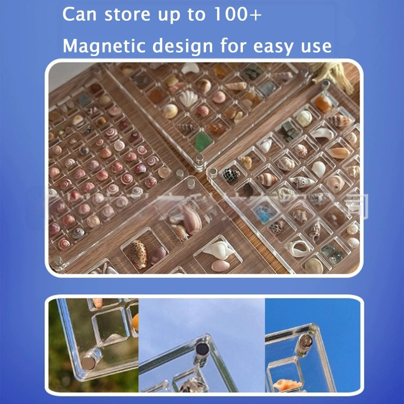 Melting technology akrilo magnetinė demonstracinė dėžutė jūros kriauklėms