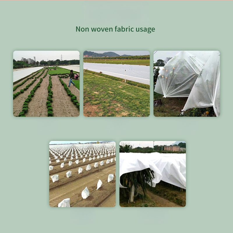 Κηπουρικό ύφασμα προστασίας από το κρύο (PP πολυπροπυλένιο, πλαστική ταρπάν, προέλευση Foshan)