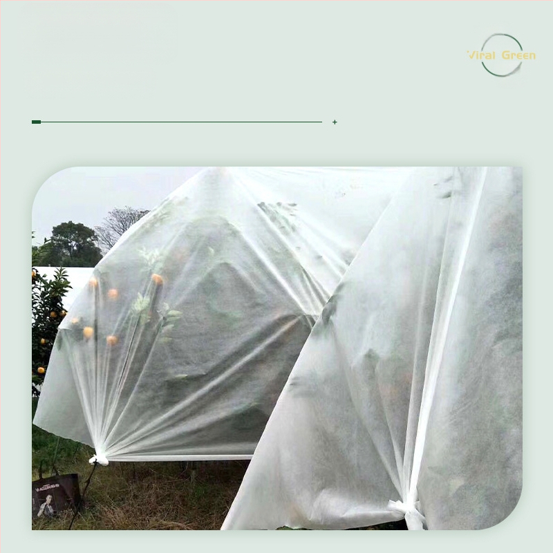 Κηπουρικό ύφασμα προστασίας από το κρύο (PP πολυπροπυλένιο, πλαστική ταρπάν, προέλευση Foshan)