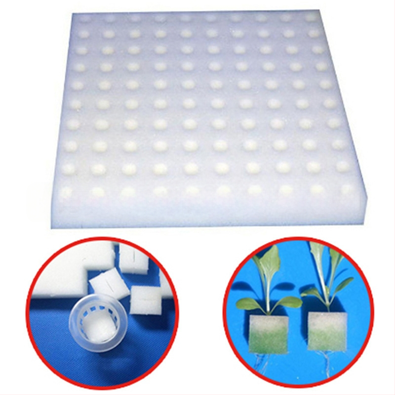 Кутия за яйца с вътрешна тава от EPE пяна, удароустойчива опаковка за яйца