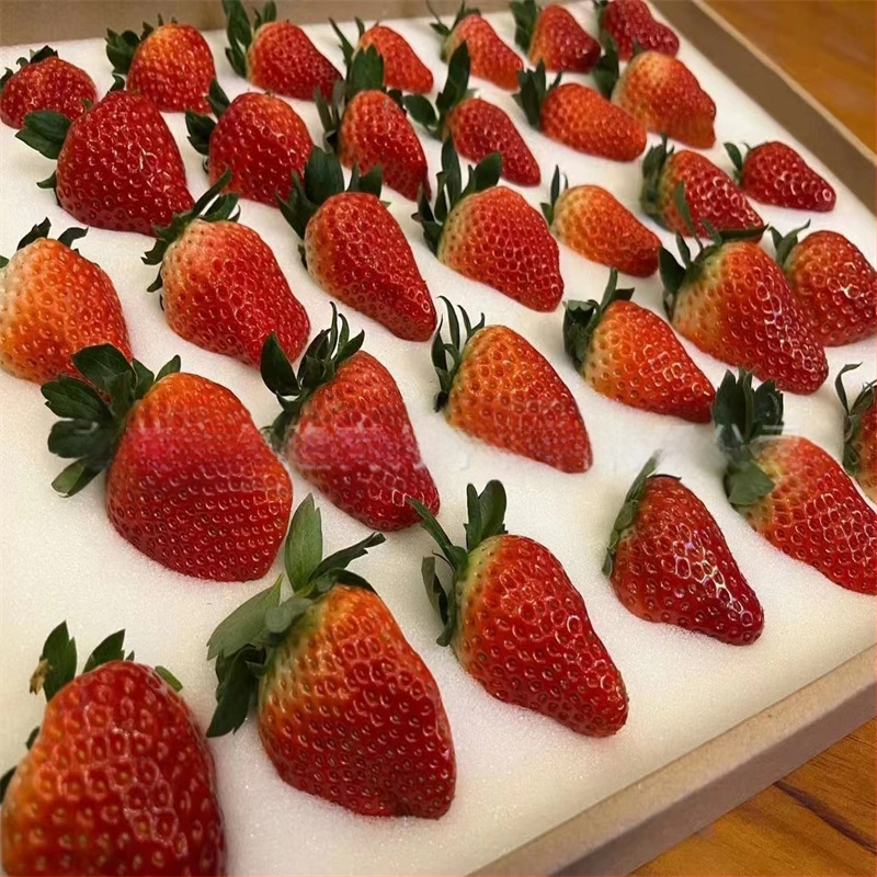 Кутия за яйца с вътрешна тава от EPE пяна, удароустойчива опаковка за яйца