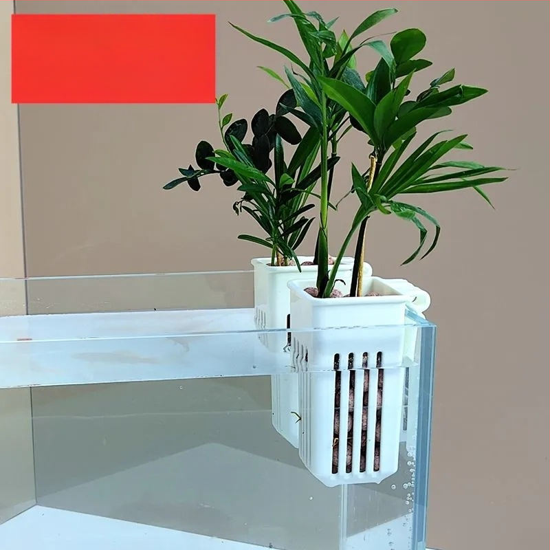 Sienas piestiprināms hidroponikas augu trauks ar tukšu stādīšanas grozu (Izcelsme: Šandongā)