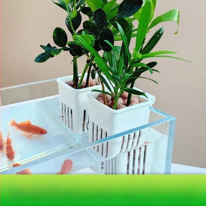 Sienas piestiprināms hidroponikas augu trauks ar tukšu stādīšanas grozu (Izcelsme: Šandongā)