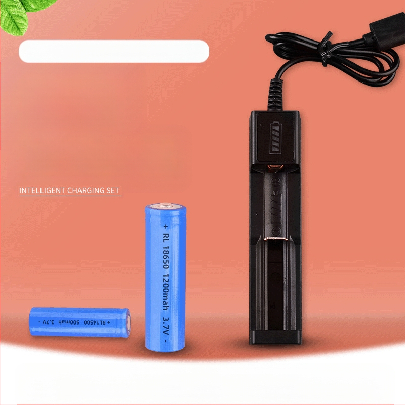 Renlong Electronics USB зарядно за литиеви батерии 18650/14500, едно гнездо, 4.2V 1A, CE сертифицирано