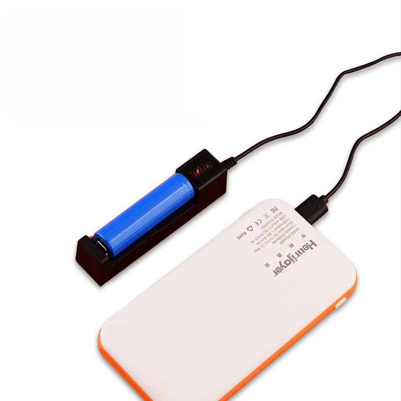 Renlong Electronics USB зарядно за литиеви батерии 18650/14500, едно гнездо, 4.2V 1A, CE сертифицирано