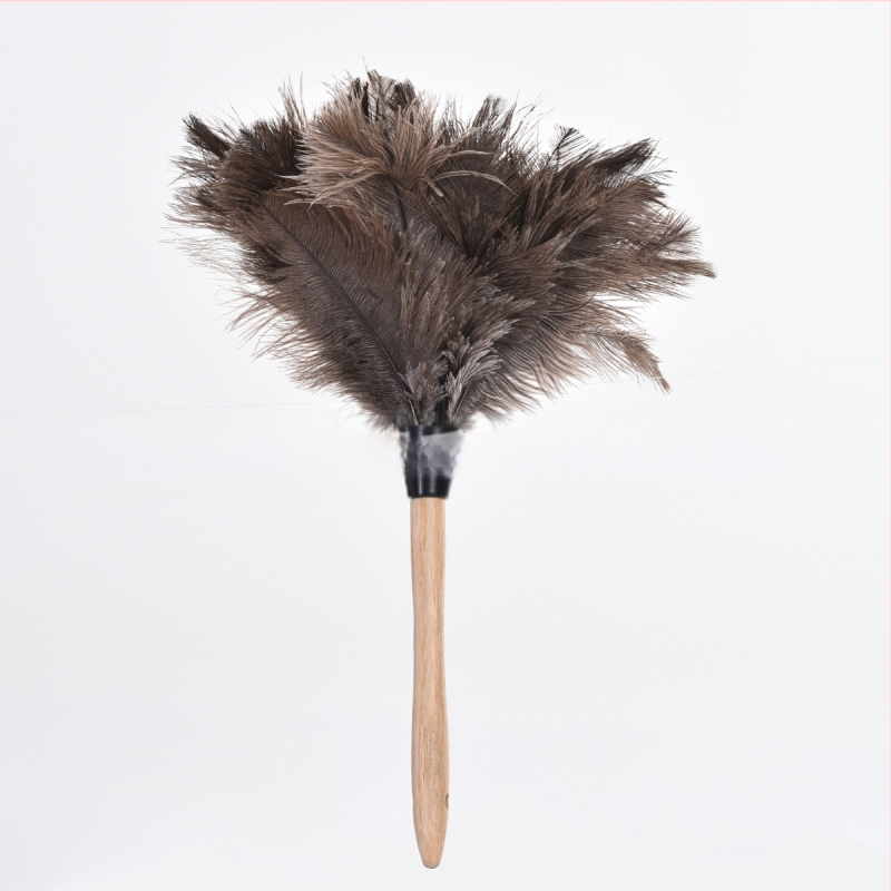 Dust Duster ar strausa spalvām, apaļa galva — Zīmols: New Feathers