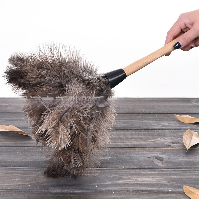 Dust Duster ar strausa spalvām, apaļa galva — Zīmols: New Feathers