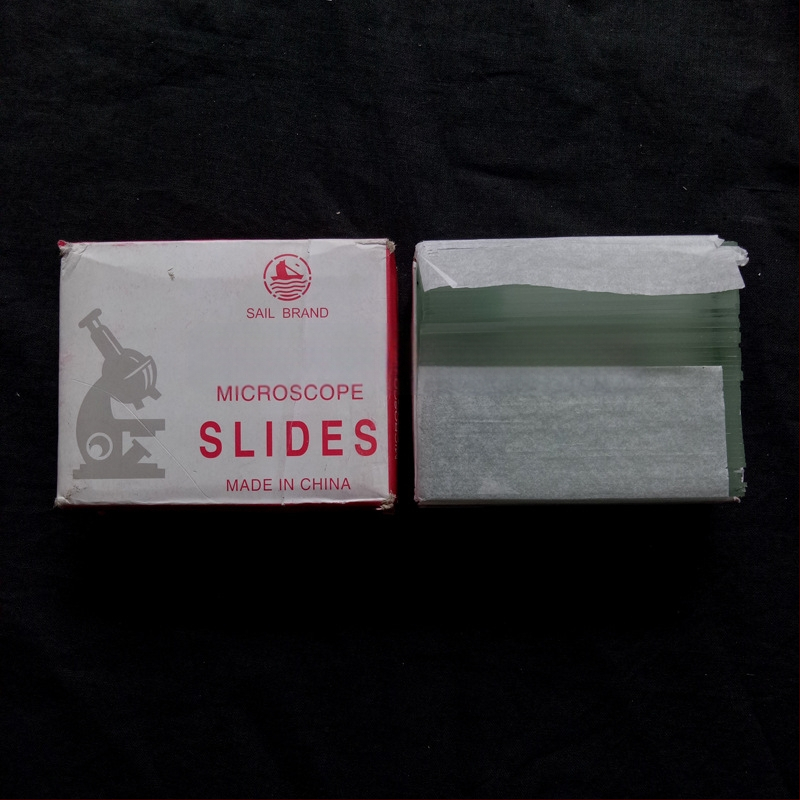 Sailboat mikroskopinės stiklo skaidrės, modeliai 7101/7105, skaidrus arba matinis paviršius – 50 vienetų