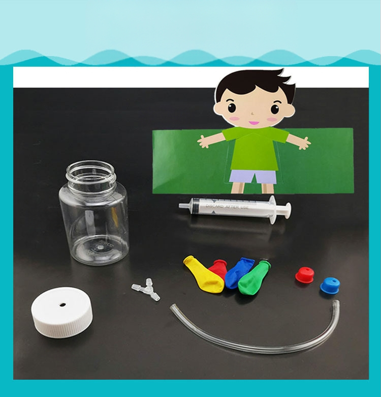 Model educațional din plastic pentru simularea respirației, biologie/chimie, asamblare DIY, pentru copii 7–14 ani, Honeycomb Maze