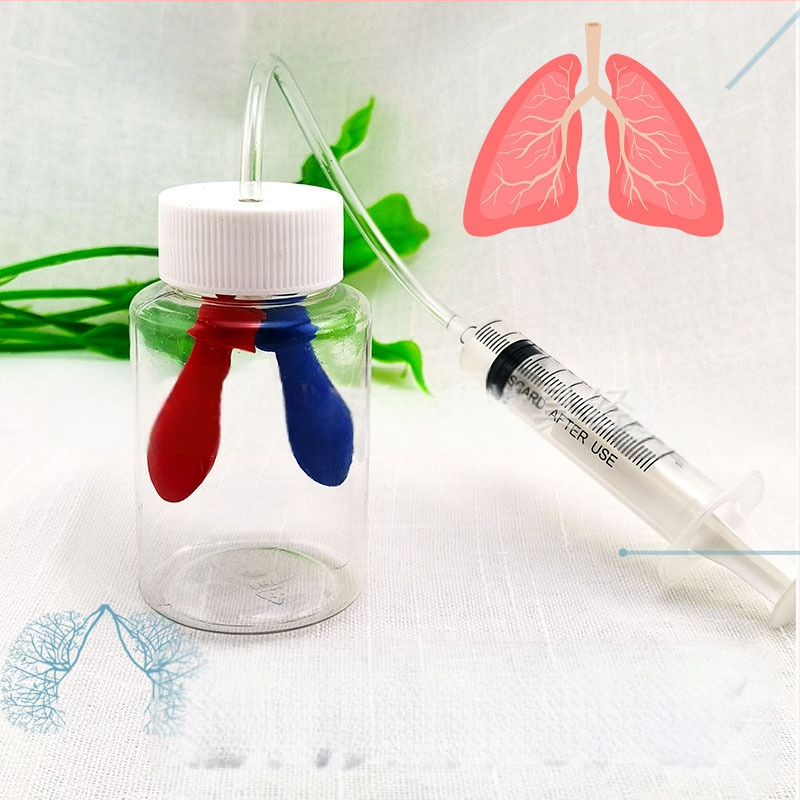 Model educațional din plastic pentru simularea respirației, biologie/chimie, asamblare DIY, pentru copii 7–14 ani, Honeycomb Maze