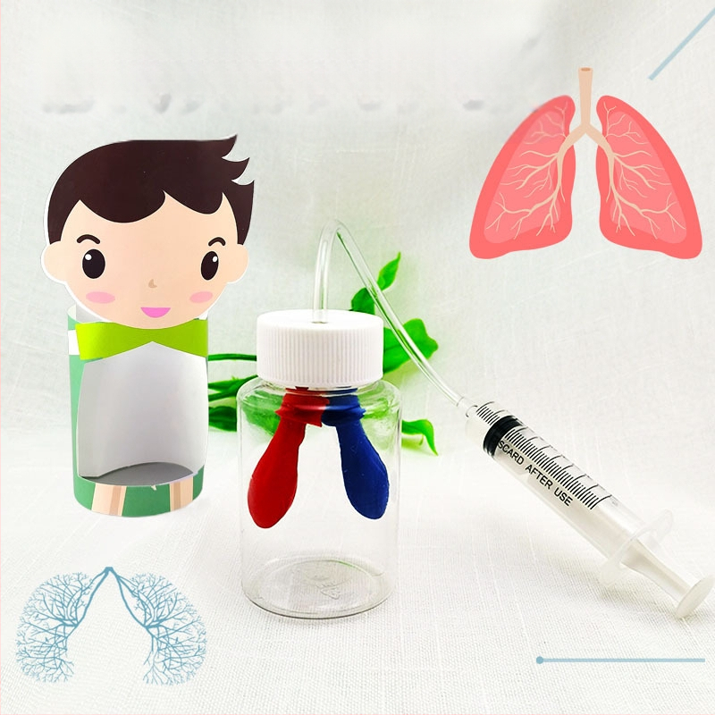 Model educațional din plastic pentru simularea respirației, biologie/chimie, asamblare DIY, pentru copii 7–14 ani, Honeycomb Maze