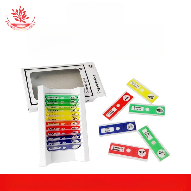 Mangrove PVC βιολογικά δείγματα, σετ 12 για διαφάνειες μικροσκοπίου (ζώα και φυτά)