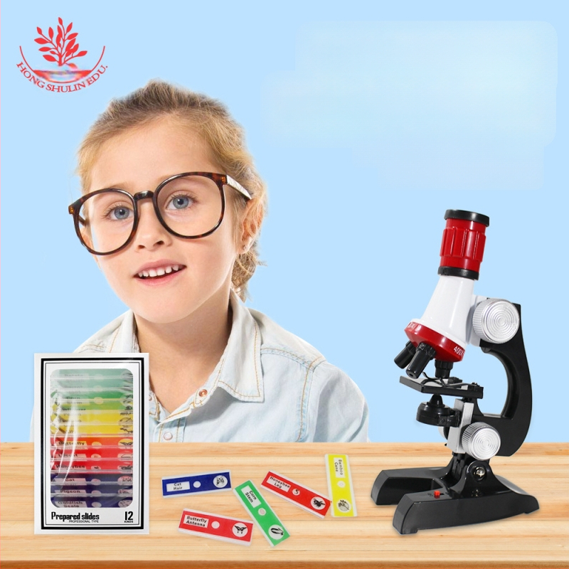 Mangrove PVC βιολογικά δείγματα, σετ 12 για διαφάνειες μικροσκοπίου (ζώα και φυτά)