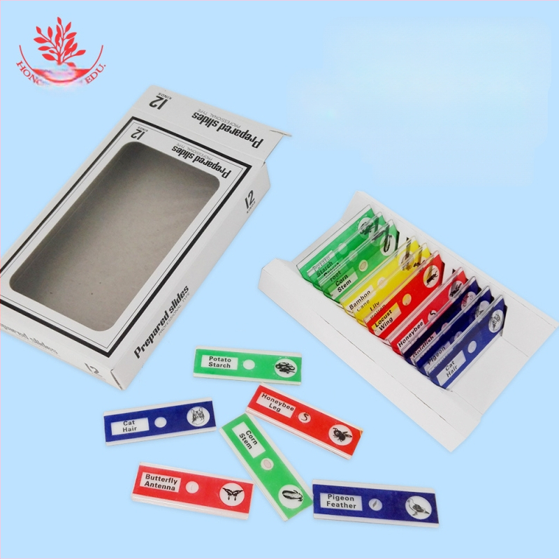 Mangrove PVC βιολογικά δείγματα, σετ 12 για διαφάνειες μικροσκοπίου (ζώα και φυτά)