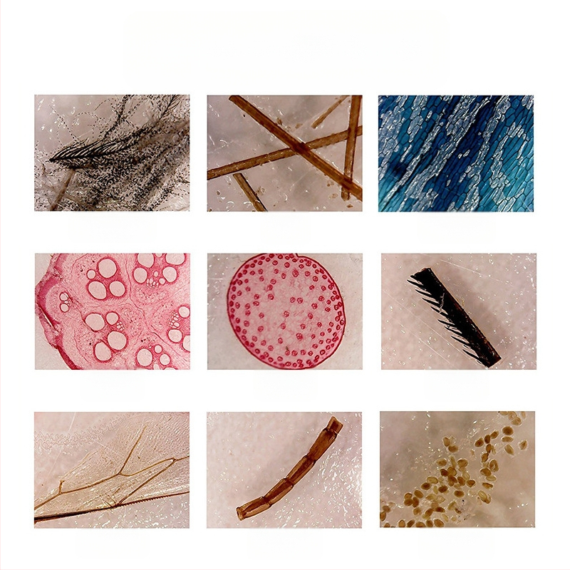 Bioloģiskais mikroskops bērniem ar 450x palielinājumu | metāla konstrukcija | izglītojoša zinātniska rotaļlieta 0–2 gadi | rokas eksperimentu rīks