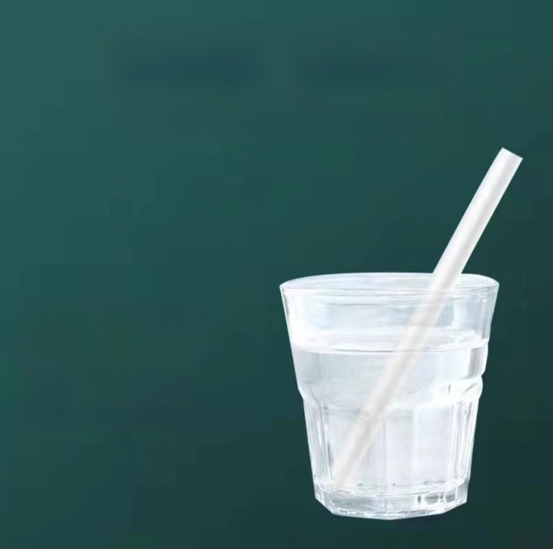 Vienkartinis filtrų vatos lazdelė drėkintuvui – atsarginė dalis, pakuotėje 50 vnt.