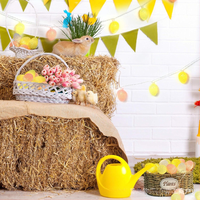 Φώτα LED αλυσίδας EVA με αυγά Πάσχα - τροφοδοσία με μπαταρία, 4.5V, 2.25W, έλεγχος με τηλεχειριστήριο ή κουμπί, IP20, διακόσμηση δωματίου για το Πάσχα