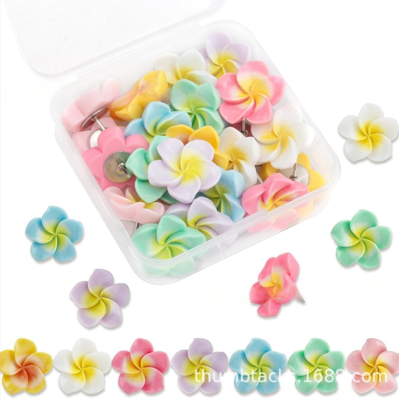 mogii Dervos I formos smeigtukai, Modelis FL015, dėžutėje supakuoti, skirti fiksavimui