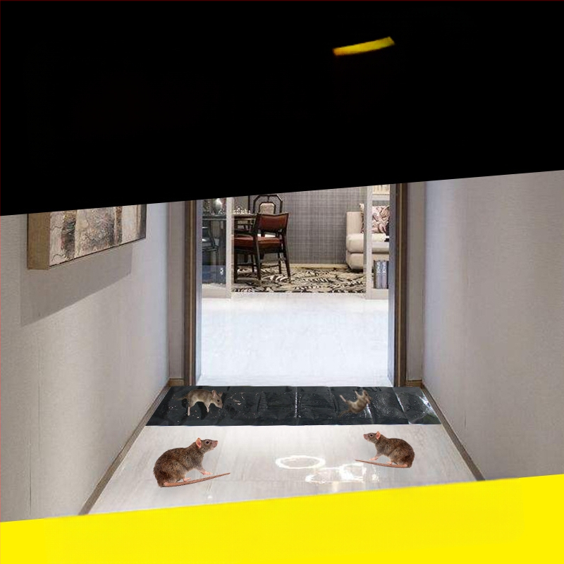 Graužikų klijuojamasis kilimėlis – kieto pavidalo, mikro toksinis, pakuotė 100 vnt.