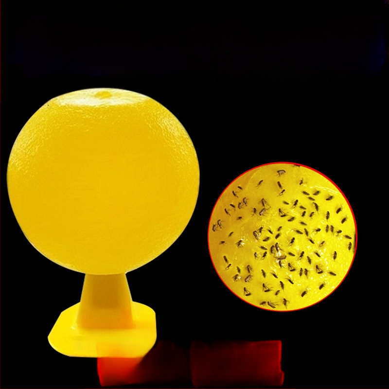 Vidaus uodų ir musių gaudyklė – netoksiška, su kvapu, kūrybinis dizainas