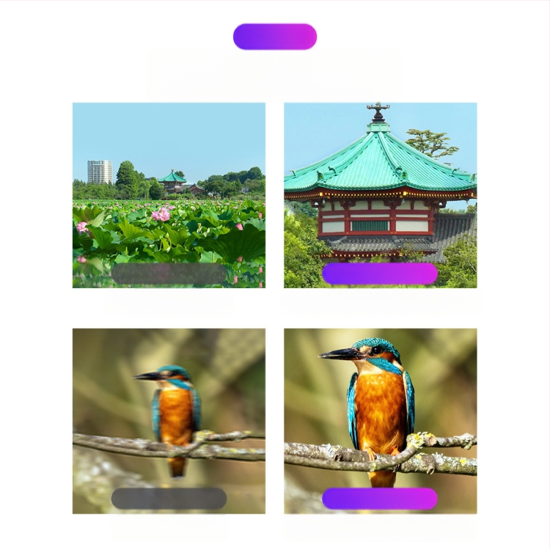 APEXEL APL-36XCR50 Mobilus teleobjektyvas telefonui, visiškai metalinis korpusas, išorinis stovas