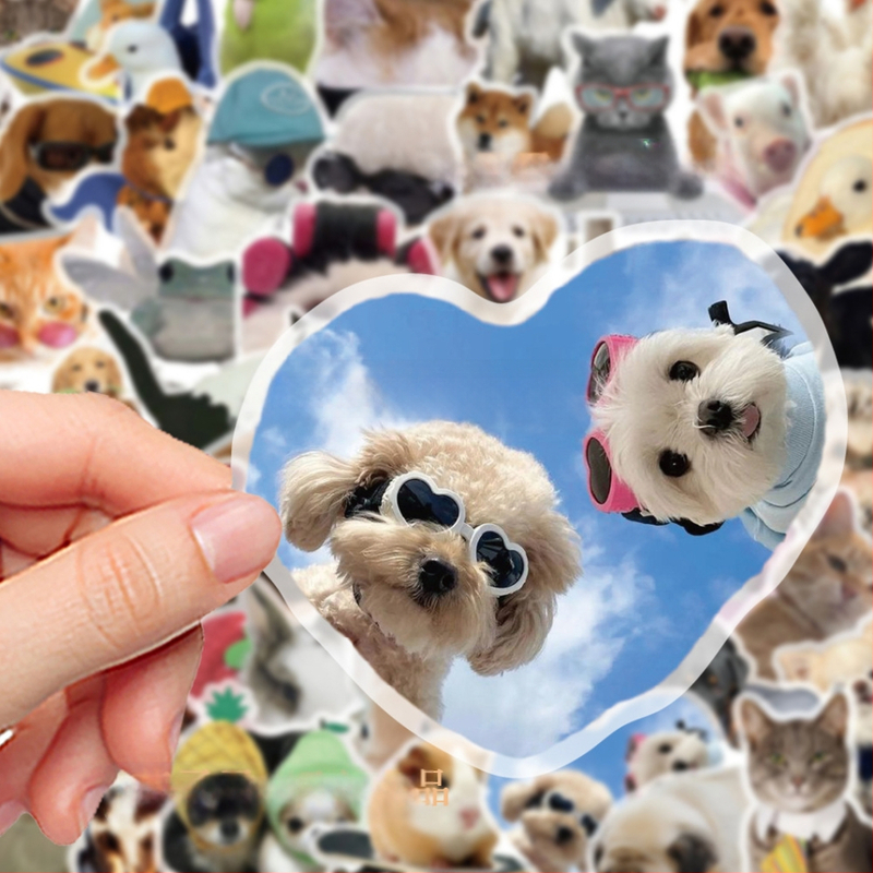 50 darabos PVC matricaszett jegyzetfüzetekhez és telefontokokhoz, rajzfilmszerű állat mintákkal; tartalmaz matricákat és nyomtatást; logó nyomtatása lehetséges