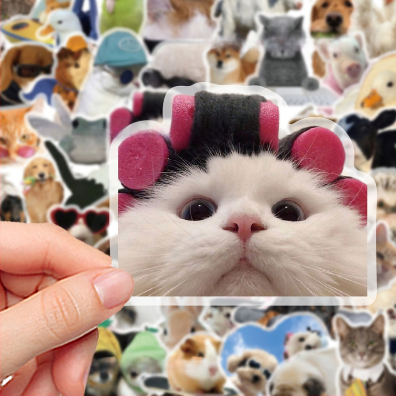 50 darabos PVC matricaszett jegyzetfüzetekhez és telefontokokhoz, rajzfilmszerű állat mintákkal; tartalmaz matricákat és nyomtatást; logó nyomtatása lehetséges