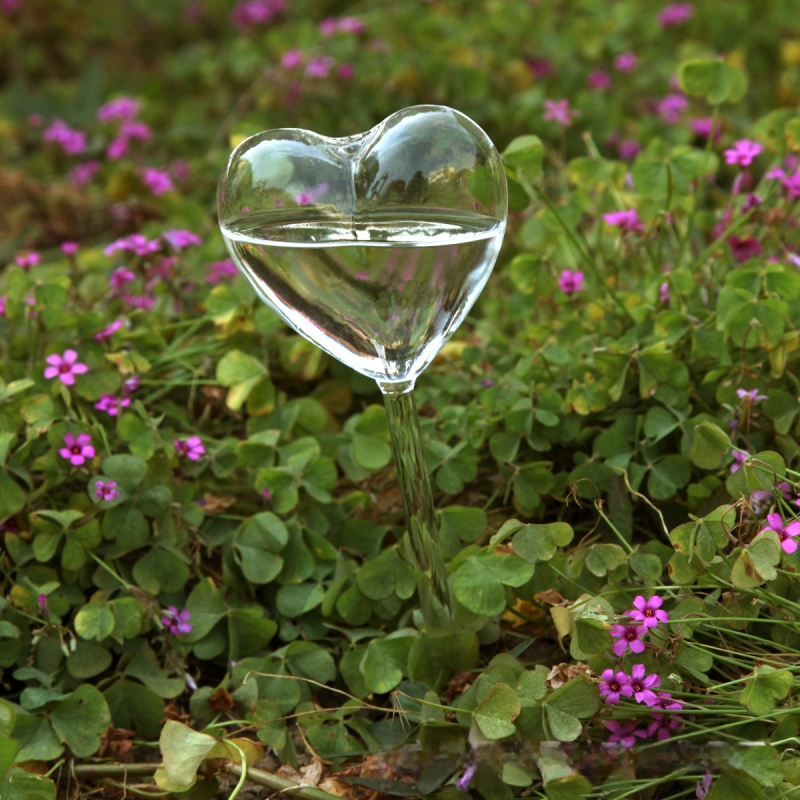 Γυάλινο εργαλείο ποτίσματος φυτών σε σχήμα καρδιάς, από γυάλι μπόροσιλικό, φυσητό γυαλί, λεία επιφάνεια, διακοσμητικό κρεμαστό