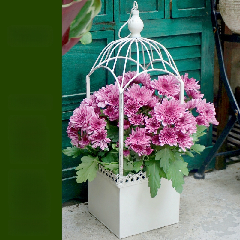 Lauko pakabinamas gėlių krepšys iš kalvio plieno, dekoratyvinis augalų laikiklis sodui ir balkonui