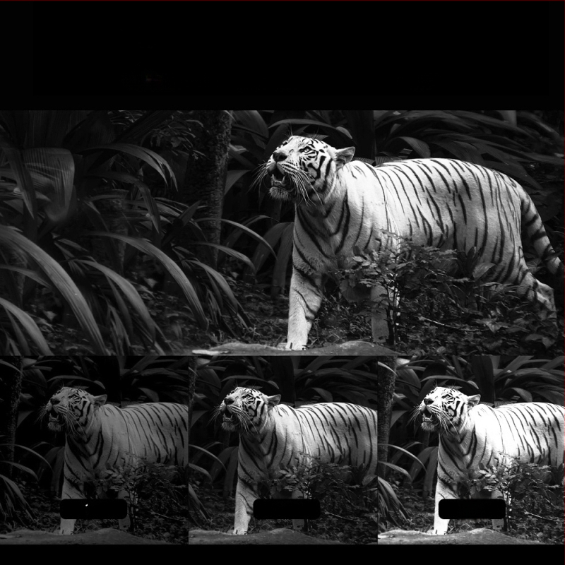 Infraraudonųjų spindulių naktinis regėjimas ant galvos NV8160 (10x optinis priartinimas; 8x skaitmeninis priartinimas; 25 mm objektyvas; 400 m spindulys; 3,7 V maitinimas)