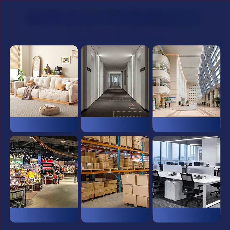 Ultragarsinis insektų ir graužikų atbaidytuvas, Modelis 211 Didelės galios, 220V, 1–65 kHz, 3W, ABS korpusas