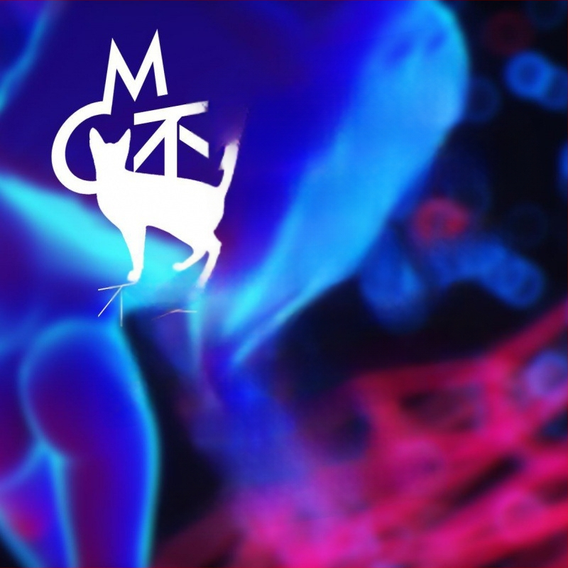 Autocolant tatuaj pentru braț cu motif craniu – rezistent la apă, Phil art