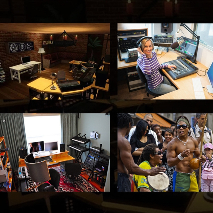 Αντιανεμικό κάλυμμα μικροφώνου με βαμβάκι απορροφητικό ήχου για φορητό στούντιο εγγραφής, μοντέλο C2, από Voice Converter