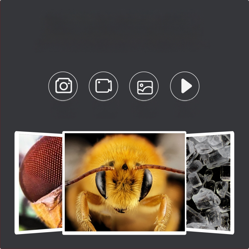 Ηλεκτρονικό μικροσκόπιο με ψηφιακή οθόνη για εκπαίδευση και επιθεώρηση· κατάλληλο για παιδιά και ενήλικες· εντοπίζει θύλακες τρίχας, δέρμα και ηλεκτρονικές πλακέτες με παρατήρηση σε πραγματικό χρόνο.