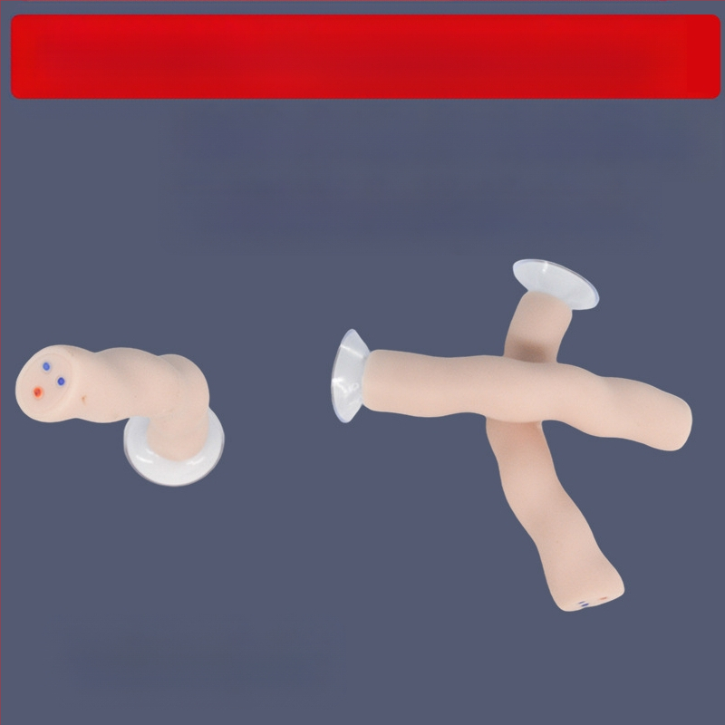 Zīdaiņa nabassaites un placentas modelis ar vēnu un artēriju atveidojumu, savienojams ar lelli mācību nolūkos, piemērots cilvēkiem virs 14 gadiem